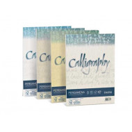 RISMA 50 FOGLI PERGAMENA CALLIGRAFY CARTONCINO NUVOLATO COLOR CREMA 05 FAVINI 190GR.MQ. 210X297MM A4 INK-JET MADE IN ITA