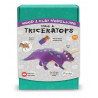 KIT DINOSAURO COSTRUISCI IL TRICERATOPO ALTO 9CM CON IL LEGNO E RICOPRILO CON L" ARGILLA COLORATA LIBRO CARD INCLUSI