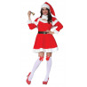 COSTUME BABBO NATALE DONNA TG.M 42/44 VESTITO SANTA CLAUS BABBA NATALE CAPPELLO MANTELLINO VESTITO CINTURA NO ACCESSORI