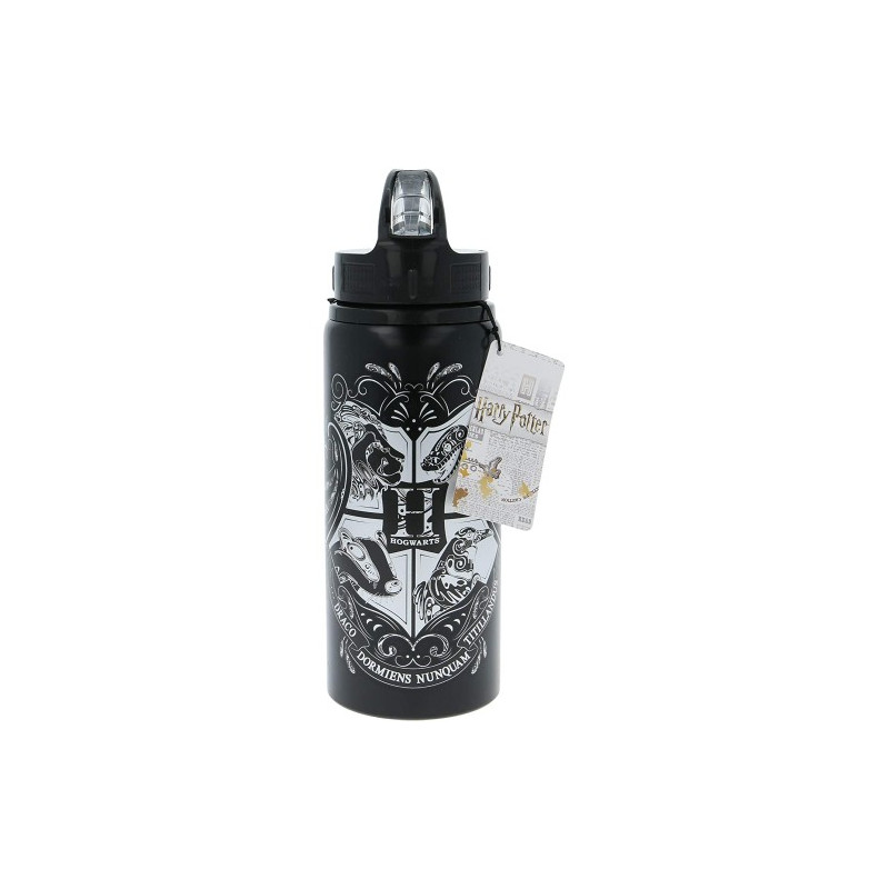 Harry Potter Borraccia Termica Ufficiale 680g Con Motivo Chibi - Acciaio Inox 18/8 A Doppia Parete - Mantiene Caldo/Freddo - Tappo Con Anello