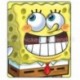 PLAID SPONGEBOB