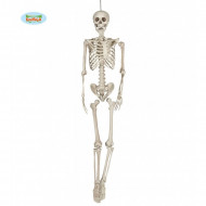 SCHELETRO 160CM RICHIUDIBILE IN PLASTICA DURA ARTICOLO DECORATIVO E DIMOSTRATIVO PER FESTE DI HALLOWEEN E PARTY A TEMA