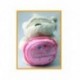 PELUCHE ORSETTO FIZZI MOON 20 CM CON CUSCINO ROSA BUON 18° ANNO