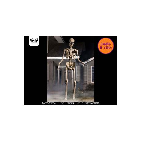 SCHELETRO 160CM LUCI E SUONI IN MOVIMENTO RICHIUDIBILE IN PLASTICA DURA ARTICOLO SCHERZOSO DECORATIVO PER DI HALLOWEEN