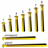 SCATOLA DA 100 FERMACAMPIONI N 5 IN METALLO PUNTA TONDA MOLHO LEONE ITALY