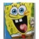 DIARIO SEGRETO CON STAMPA SPONGEBOB GIALLA IN BOX C/LUCCHETTO